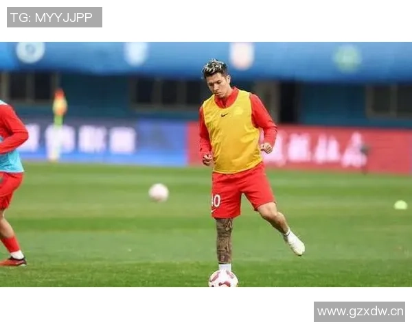 河南队引进前海港外援古斯塔沃31岁锋线新援加盟助力球队冲击新赛季